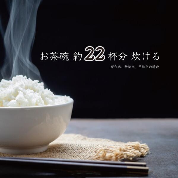 炊飯器 1升炊き 10合 ROOMMATE 加楽炊き マイコン式 RM-223H マイコン