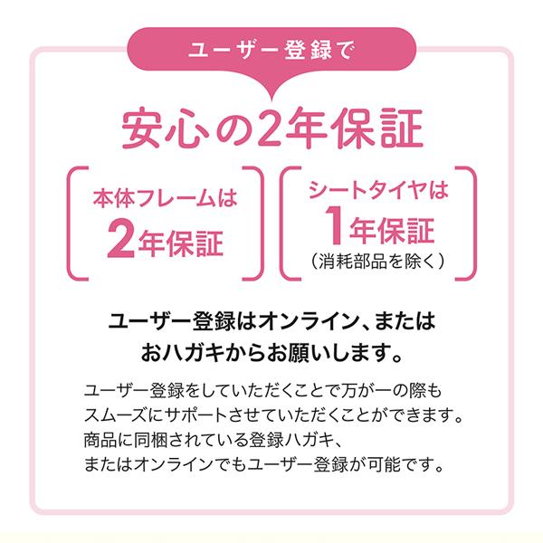 AIRBUGGY（エアバギー） ココダブルEX フロムバース クローバー 新仕様