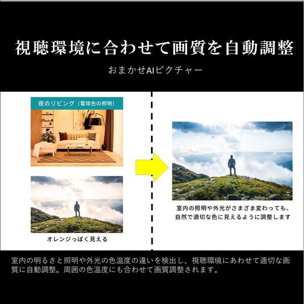 テレビ 65型 液晶テレビ TVS REGZA レグザ 65インチ TV 65M550M 4Kチューナー内蔵 M550Mシリーズ 地上・BS・110度CSデジタル 新生活