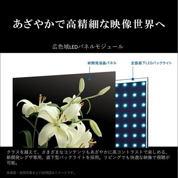 テレビ 65型 液晶テレビ TVS REGZA レグザ 65インチ TV 65M550M 4Kチューナー内蔵 M550Mシリーズ 地上・BS・110度CSデジタル 新生活