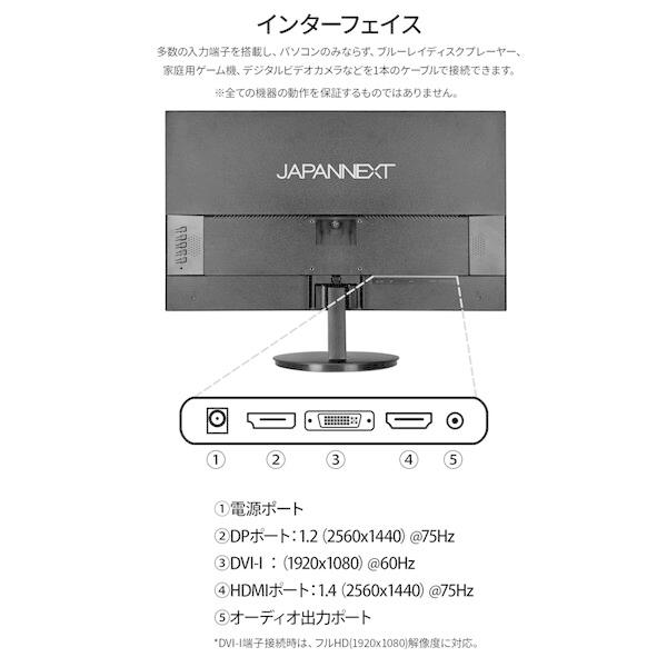 JAPANNEXT（ジャパンネクスト） JAPANNEXT JN-IPS2380FLWQHD-N