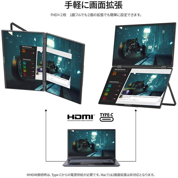 JAPANNEXT（ジャパンネクスト） JAPANNEXT JN-DMD-IPS156F 15.6インチ