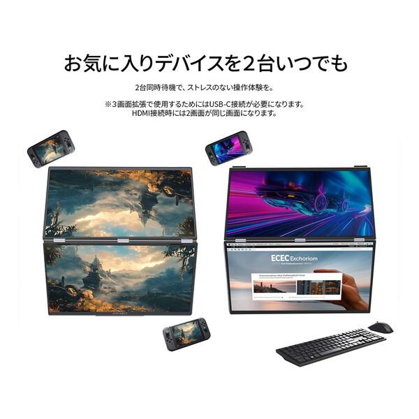 JAPANNEXT（ジャパンネクスト） JAPANNEXT JN-DMD-IPS185F 18.5型 FHD