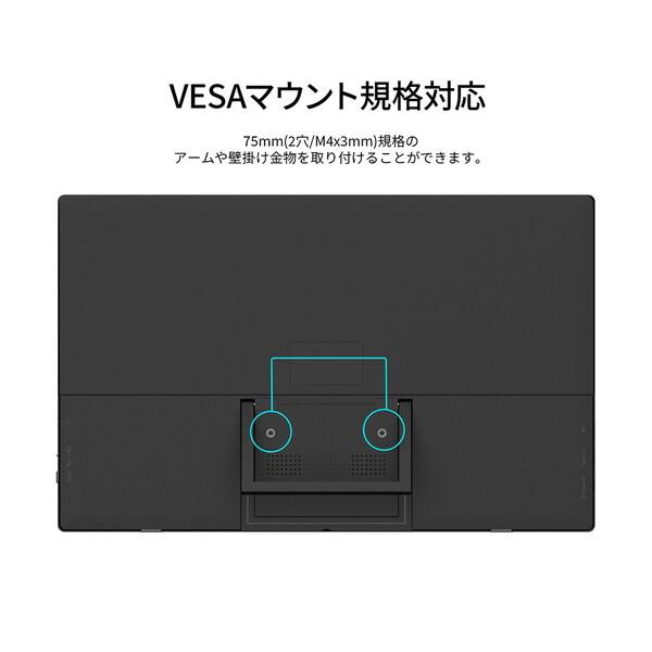 JAPANNEXT（ジャパンネクスト） JAPANNEXT JN-MD-IPS156F2 15.6型