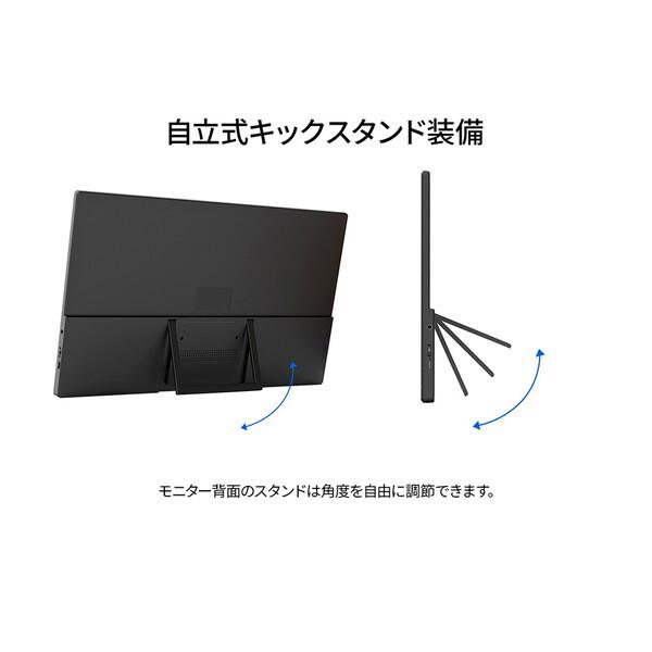 JAPANNEXT（ジャパンネクスト） JAPANNEXT JN-MD-IPS156F2 15.6型