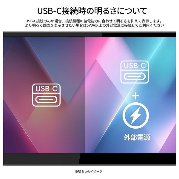 JAPANNEXT（ジャパンネクスト） JAPANNEXT JN-MD-IPST101WHD 10.1型