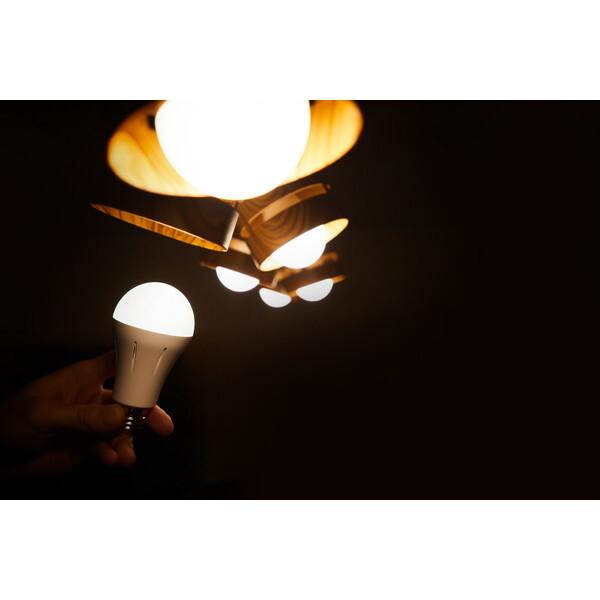 日本防災スキーム いつでもランプtuita 660lm 昼白色 LED電球 (E26口金