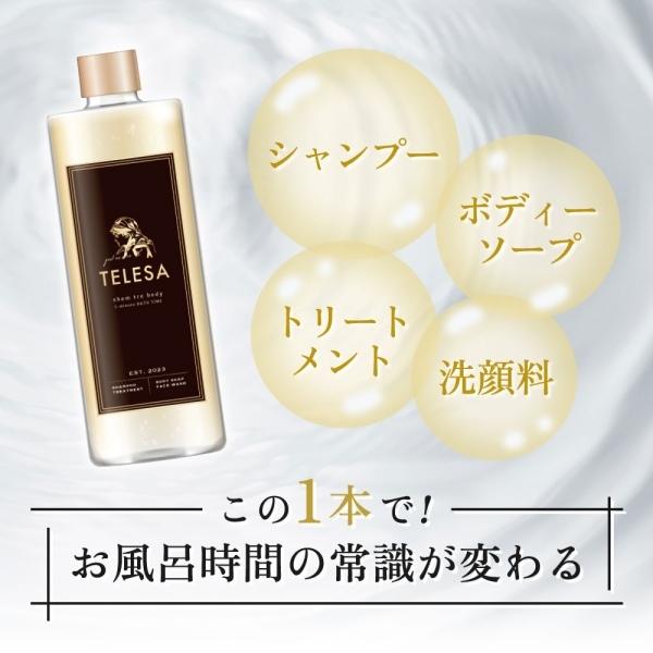 TELESA シャントリボディ 100ml シャンプー トリートメント ボディ