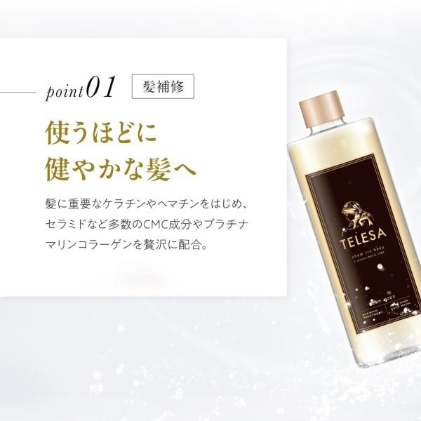 TELESA シャントリボディ 100ml シャンプー トリートメント ボディ