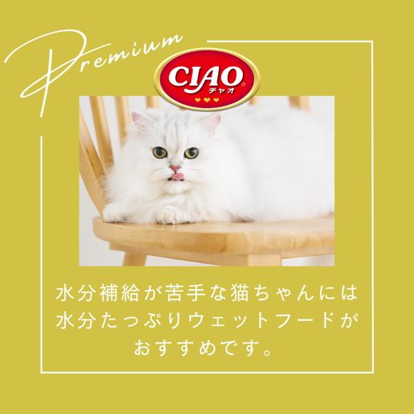 いなばペットフード CIAO パウチ 乳酸菌バラエティ 40g×8袋 : XPRICE