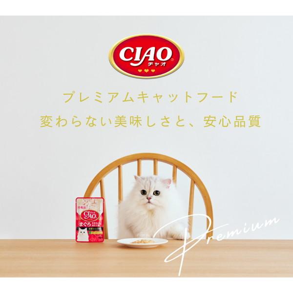 いなばペットフード CIAO パウチ 乳酸菌バラエティ 40g×8袋 : XPRICE