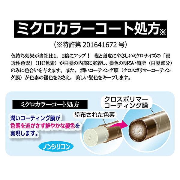 三宝 三宝商事 テンスター ヘナカラートリートメント アッシュダーク