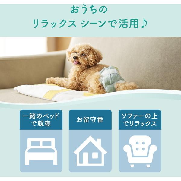 ペット 犬 おむつ オムツ 中型犬用 テープタイプ キミおもい