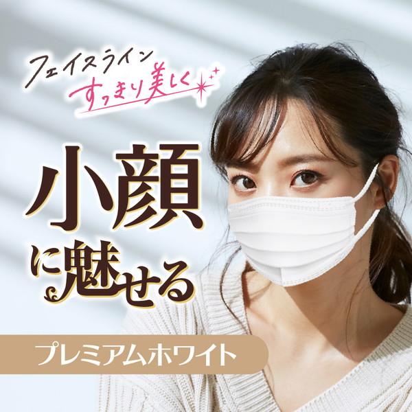 白元アース ビースタイル プリーツタイプ ふつうサイズ プレミアム