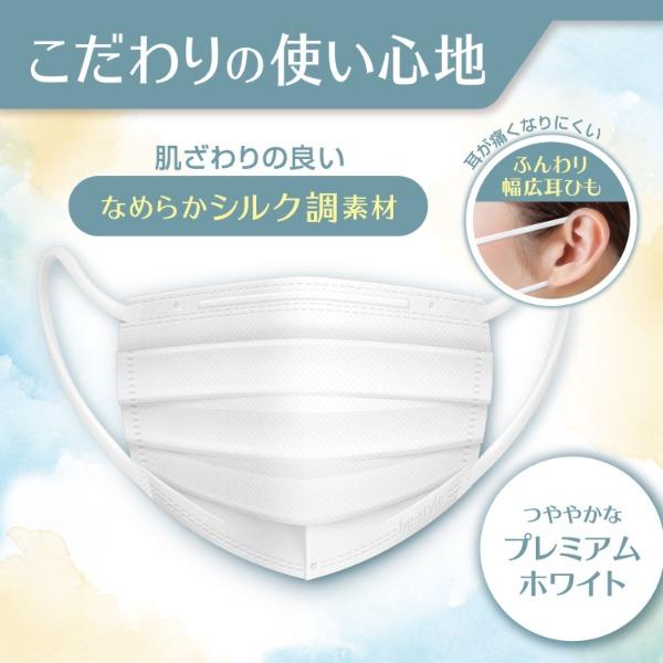 白元アース ビースタイル プリーツタイプ ふつうサイズ プレミアム