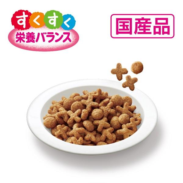 ペットライン メディファス 子ねこ 12か月まで チキン味 1.5kg 250g×6