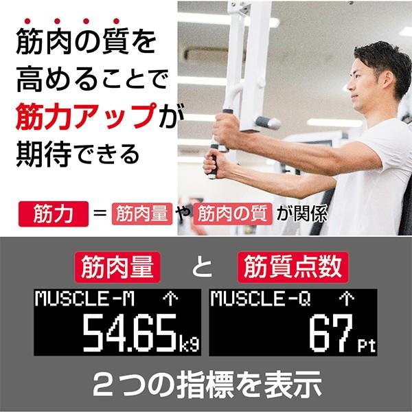 TANITA（タニタ） 体組成計 TANITA RD-800-BK ブラック 体重計 バック