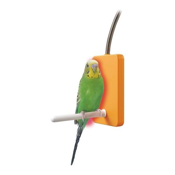 マルカン 鳥 暖房 インコ 文鳥 小鳥 ヒーター ペット 寒さ対策 保温