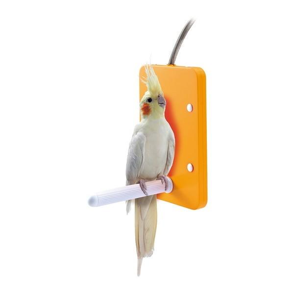 マルカン 鳥 暖房 インコ 文鳥 小鳥 ヒーター ペット 寒さ対策 保温