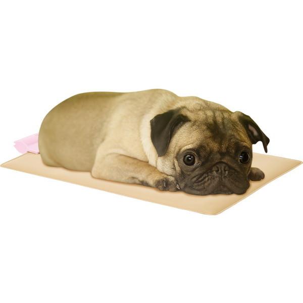 マルカン 遠赤外線やわらかホッとヒーター 適温設定 Mサイズ ペット