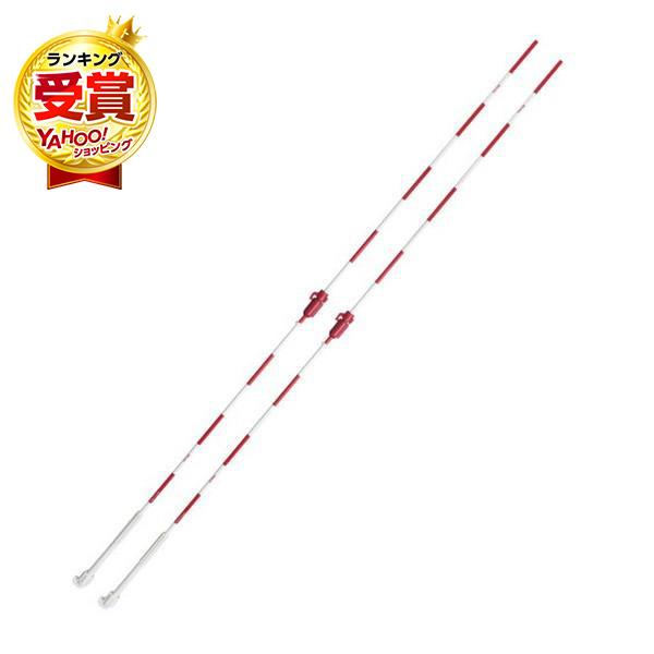 MIKASA（ミカサ） MIKASA AC-AN200 FIVB認定・JVA公認インドア