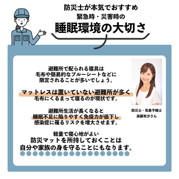 西川（nishikawa） 防災士推奨 睡眠のプロがつくった防災マット