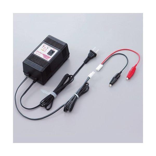 DAYTONA（デイトナ） D68586 オートバイバッテリー用維持(微弱)充電器