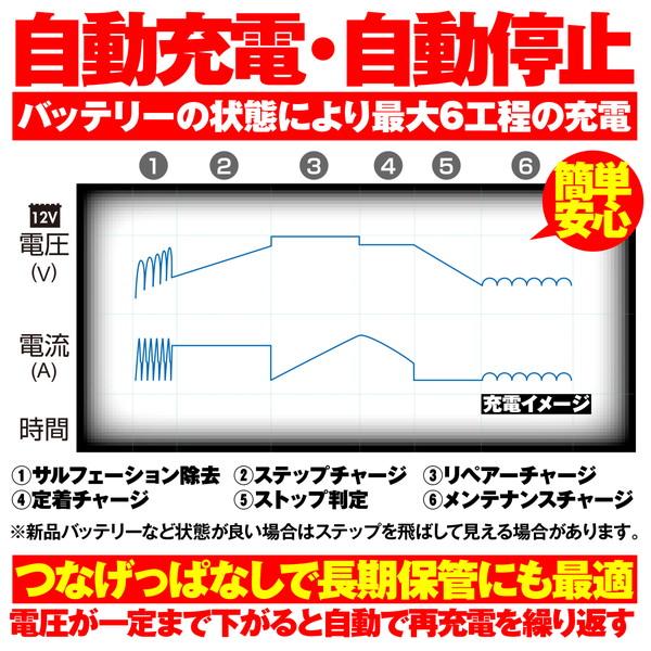 DAYTONA（デイトナ） D91875 ディスプレイバッテリーチャージャー