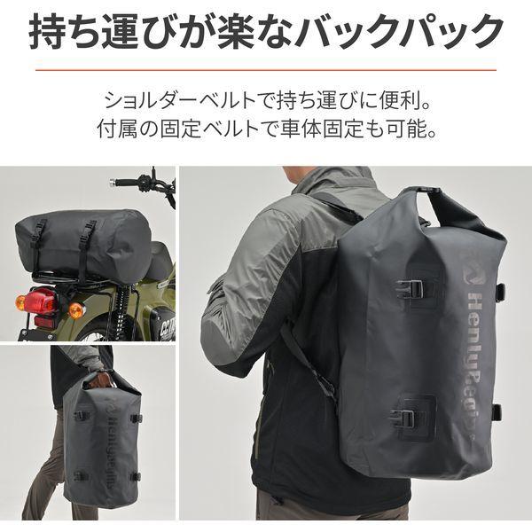 DAYTONA（デイトナ） ヘンリービギンズ(Henly Begins) バイク用 バック