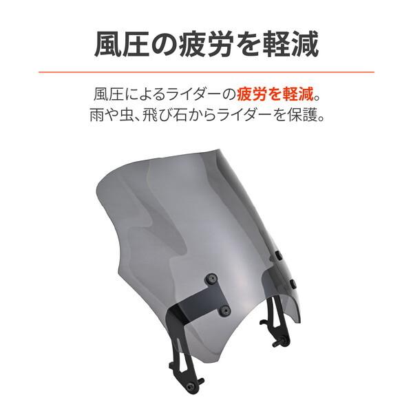 DAYTONA（デイトナ） D62722 CB1000F(26)専用 スクリーン ブラスト