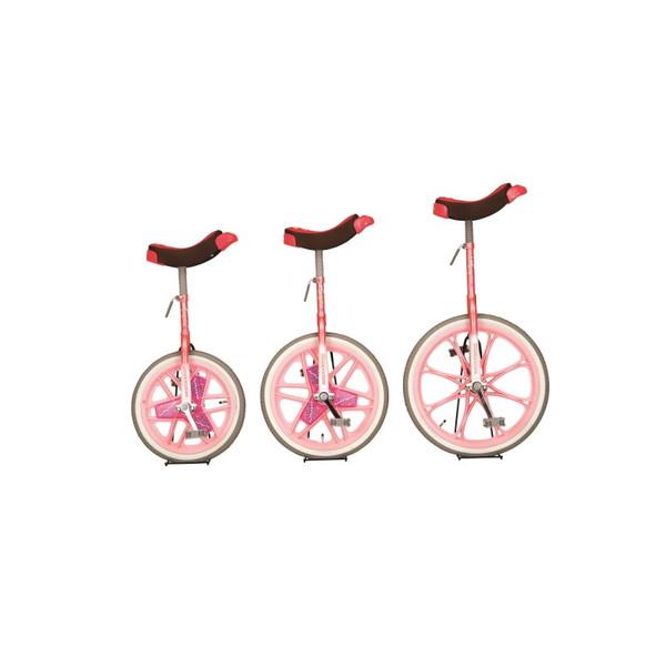 EVERNEW（エバニュー） EKD344 120 一輪車 エアタイヤ 20 ピンク