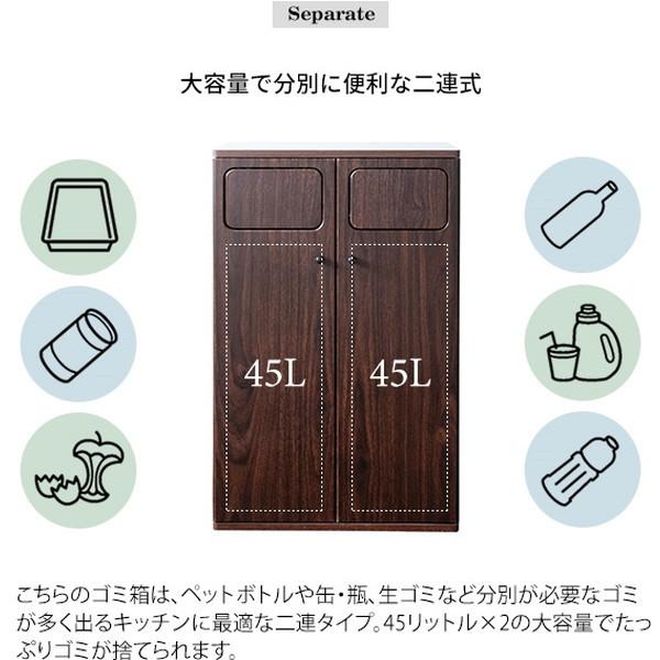 宮武製作所 ゴミ箱 ごみ箱 45リットル 分別 おしゃれ 二連 大容量