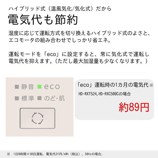 ダイニチ（Dainichi） 加湿器 ハイブリッド式 大容量 5L 木造8.5畳