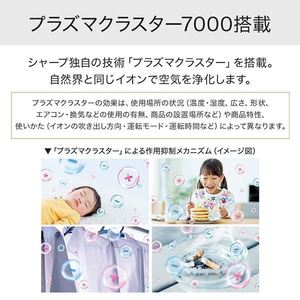 リンナイ（Rinnai） ガスファンヒーター ウィズ Wiz RC-B5801ACP-LP