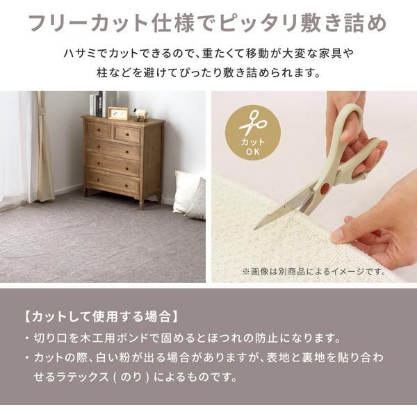 HAGiHARA（萩原） カーペット 平織 ラグ 防炎加工 抗菌 防臭 ホット