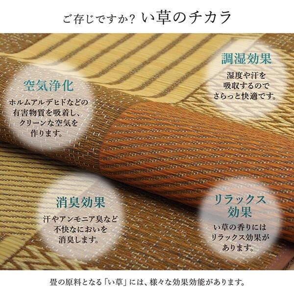 イケヒコ・コーポレーション 1080040060602 敷物 花ござ 日本製 い草 モダン 抗菌防臭 自然素材 パッチワーク ブラウン 江戸間6畳 約261×352cm メーカー直送_6