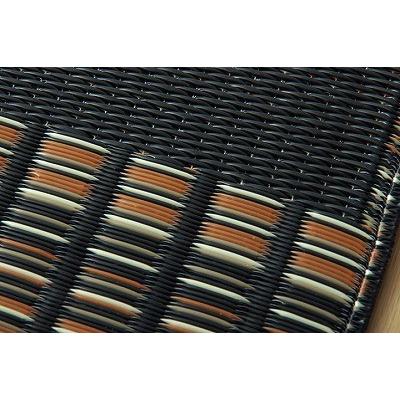 イケヒコ・コーポレーション 1090280031902 ラグ 洗える PPカーペット ウィード ブラック 本間6畳 約286.5×382cm メーカー直送_1