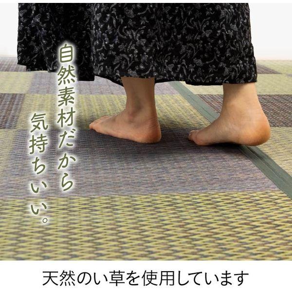 イケヒコ・コーポレーション 1030880041202 い草ラグ カーペット 格子柄 市松柄 ピーアブルー 本間4.5畳 (約286×286cm) メーカー直送_3