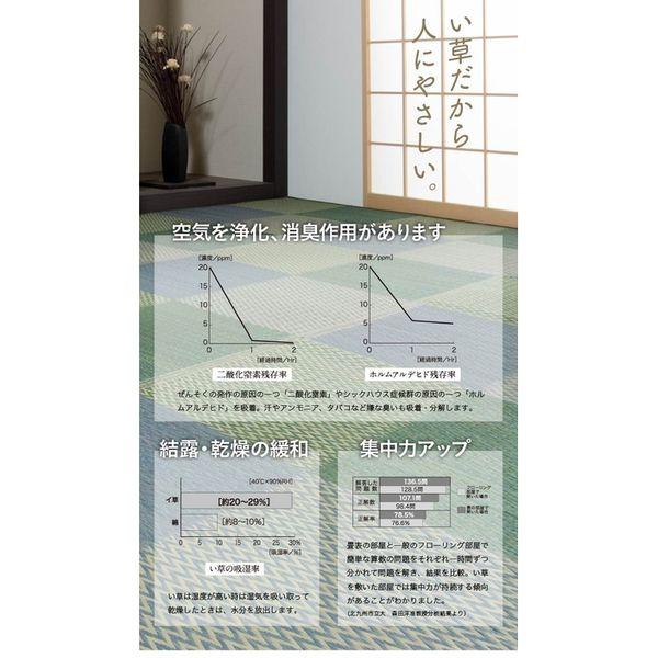 イケヒコ・コーポレーション 1030880041202 い草ラグ カーペット 格子柄 市松柄 ピーアブルー 本間4.5畳 (約286×286cm) メーカー直送_4