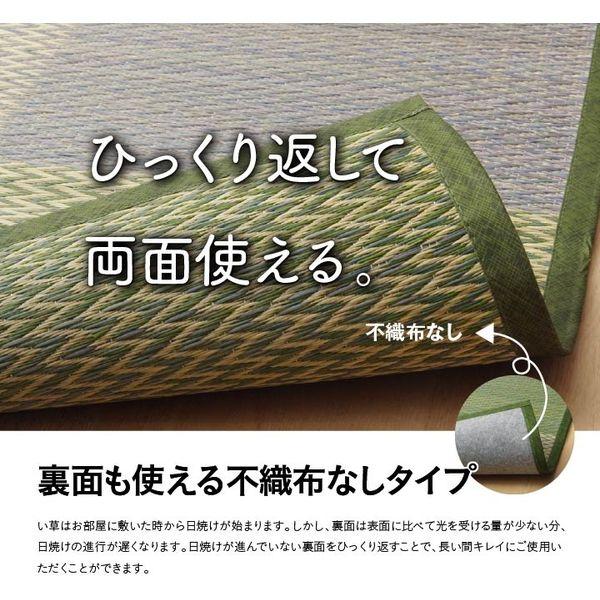 イケヒコ・コーポレーション 1030880041202 い草ラグ カーペット 格子柄 市松柄 ピーアブルー 本間4.5畳 (約286×286cm) メーカー直送_5