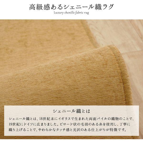 展示品☆エレガントラグ ゴブラン織シェニールラグ 230×230cm 正方形 イケヒコ イケヒコ・コーポレーション 1292340023102 モデルノ
