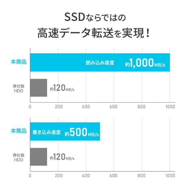 I-O DATA（アイ・オー・データ機器） IODATA SSPQ-USC250 USB 10Gbps