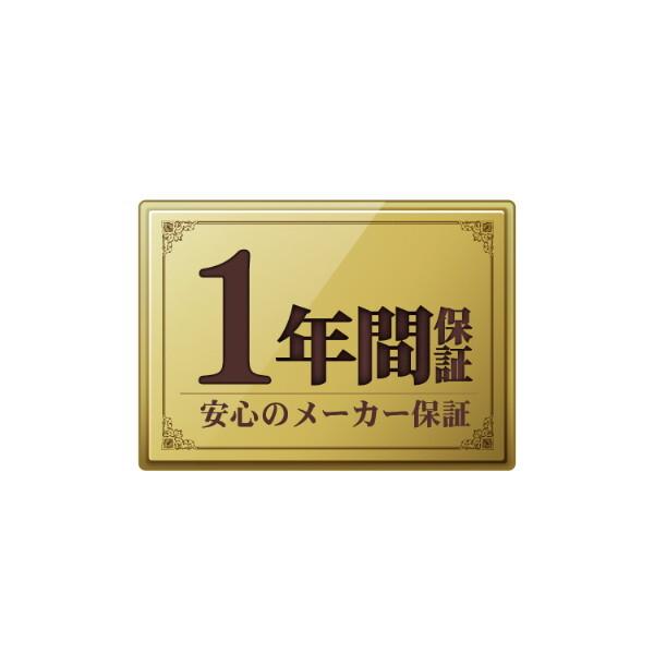 I-O DATA（アイ・オー・データ機器） IODATA SSPQ-USC250 USB 10Gbps
