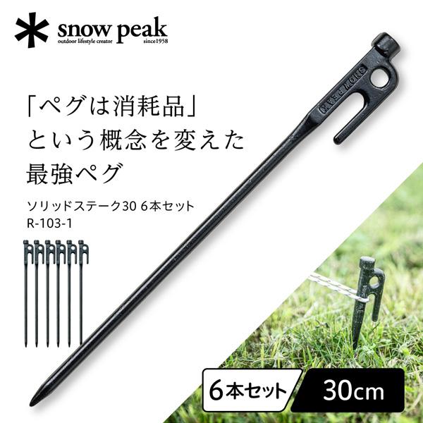 snow peak スノーピーク ソリッドステーク 30 6本セット ペグ