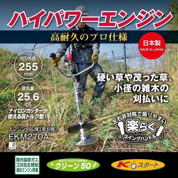 [売れ筋 【即日発送】 ] 4960673626050 (4960673626050)
