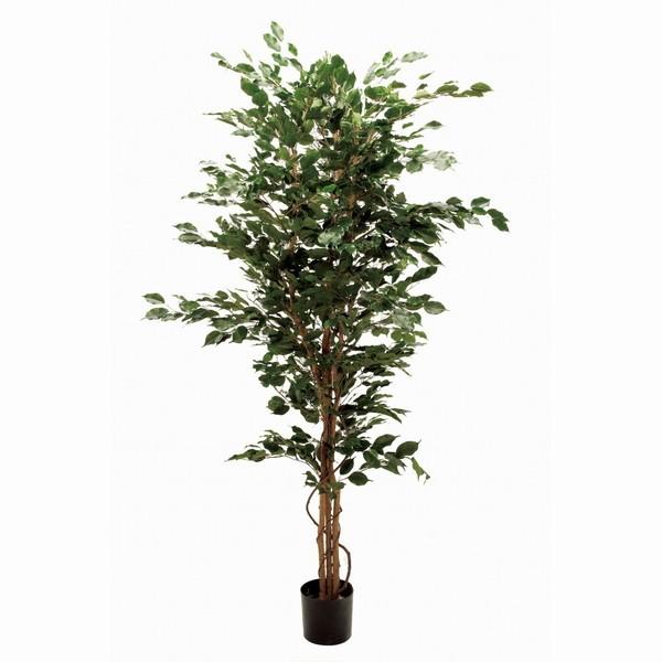 東京堂 Magiq 店 L L ファイカスエキゾチカ 通販 Magiq 観葉植物 メーカー直送 観葉植物 造花 Premoa