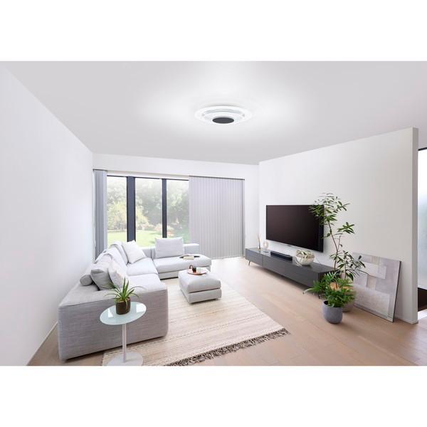 IRIS OHYAMA シーリングライト12畳 IRIS OHYAMA シーリングライト led 12畳 2個セット led照明器具