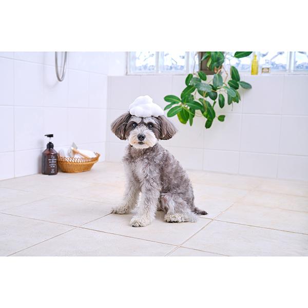 IRIS OHYAMA（アイリスオーヤマ） P-TS400 トリートメントイン