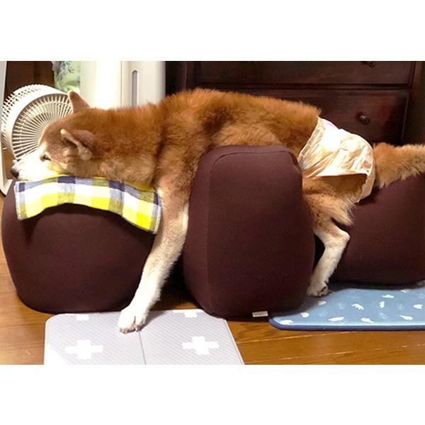 OneAid 犬用 リラクッション シニア 犬 介護用品 介護 クッション ペット 姿勢サポート 大型犬 老犬 高齢犬 アロン化成 ワンエイド ベージュ Lサイズ ペット用品