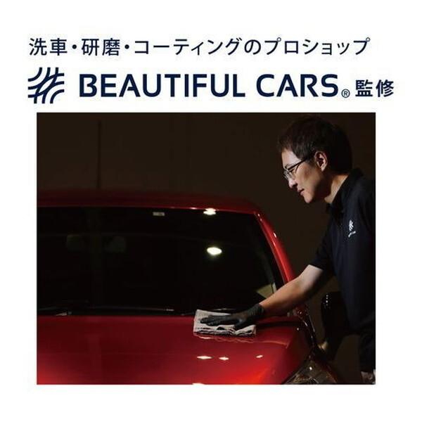 GREEN LIFE（グリーンライフ） 高圧洗浄機 KSS-GWP7 洗車高圧洗浄機 G